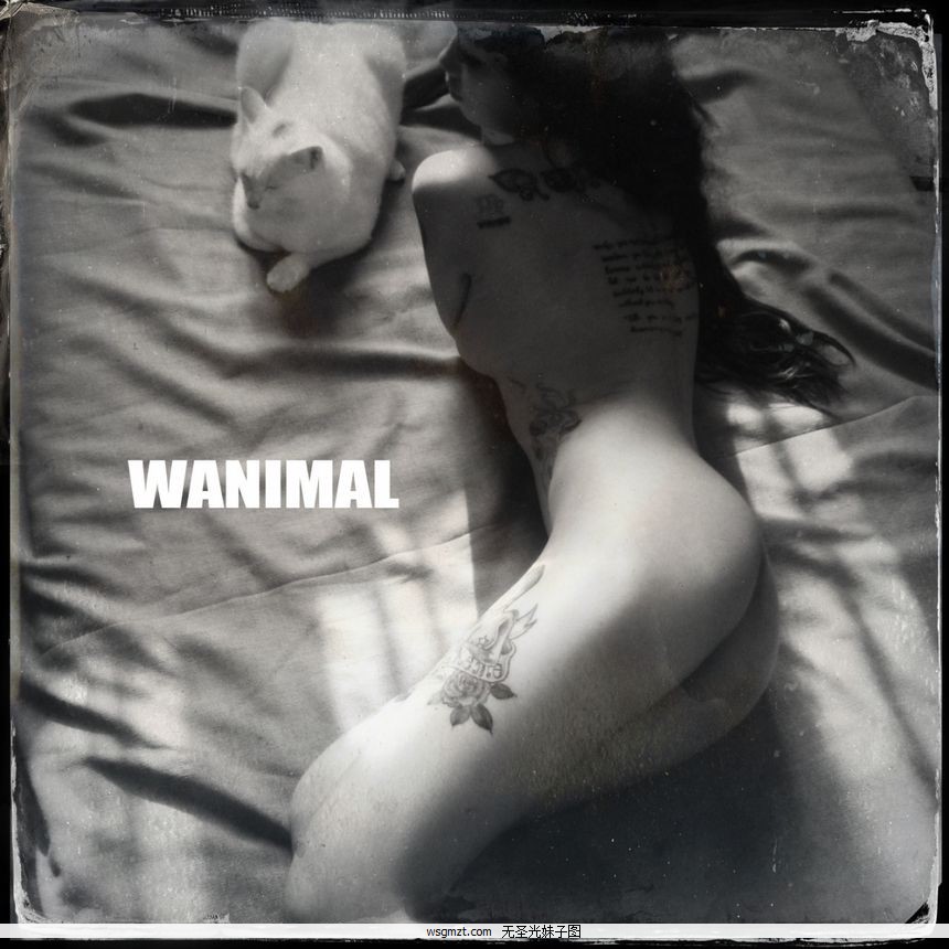 WANIMALƷʥͼ[125P]ȫ